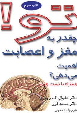 آیا به سیستم مغز و اعصابت اهمیت می دهی؟